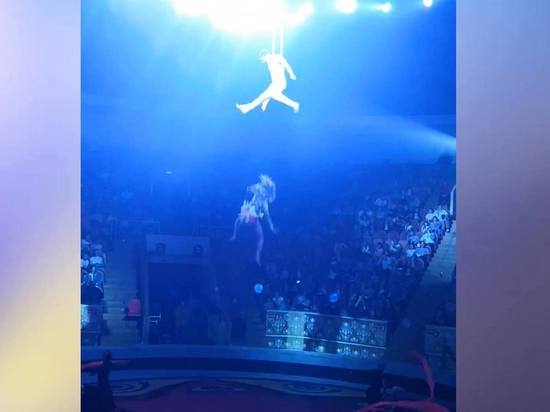 Цирковая гимнастка сорвалась с высоты на выступлении в Омске