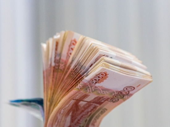 В Новосибирске доход каждого 20-ого депутата превышает 50 млн рублей в год