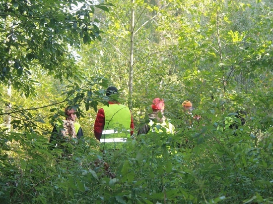 В МЧС раскрыли, сколько человек погибли в новгородских лесах в этом году