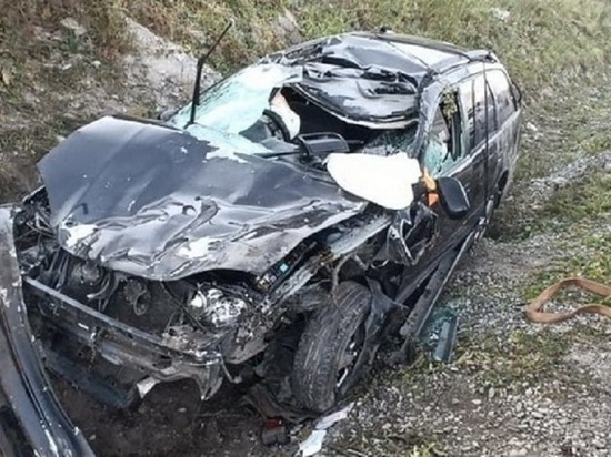 На Алтае водитель погиб в результате жесткого столкновения авто с лошадью