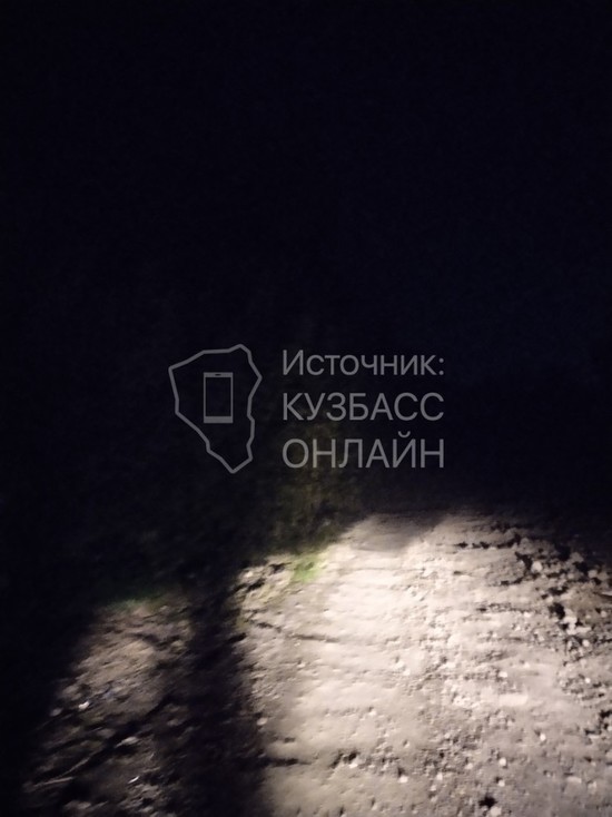 Ужасная темнота вокруг: отсутствие освещения на одной из улиц Новокузнецка обеспокоило горожанку