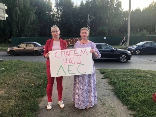 Ярославская прокуратура оспорит разрешение на строительство у Тверицкого бора