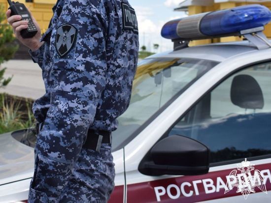 Орловские бойцы Росгвардии задержали 15 человек