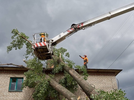 В Курске убрали 111 поваленных ураганом деревьев