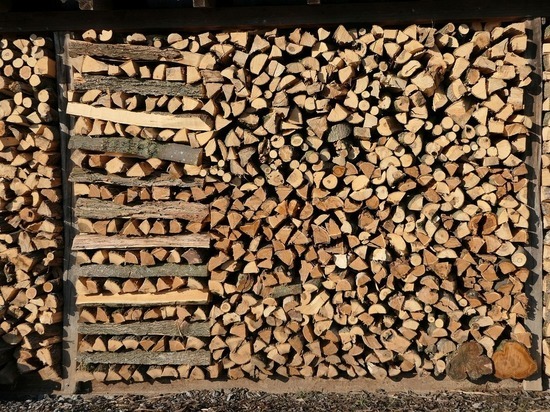 WP: европейцы начали воровать дрова из-за страха перед зимой