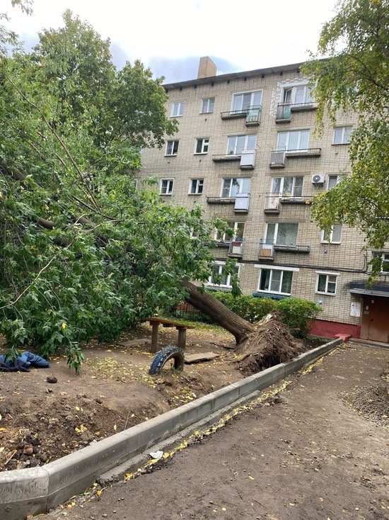 В Ярославле сильный ветер наломал дров