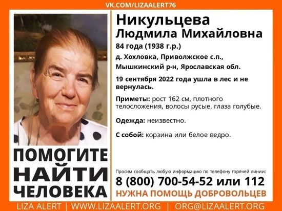 В Мышкине ищут женщину, которая ушла в лес по грибы