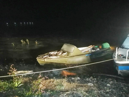 Лосося, осетра и черную икру изъяли у браконьеров в Хабаровском крае