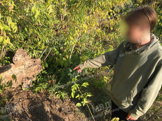 В Башкирии осудят банду крупных наркоторговцев, ставших фигурантами 50 уголоных дел