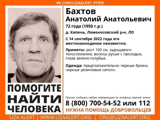 Пенсионер пропал в деревне Кипень почти неделю назад