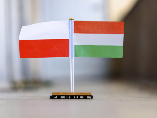 В Польше обвинили Еврокомиссию в желании сменить правительство в Венгрии