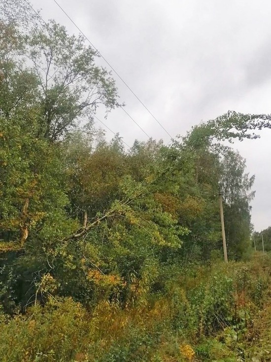 После бури: в двух районах Костромской области из-за обрывов проводов пропало электричество