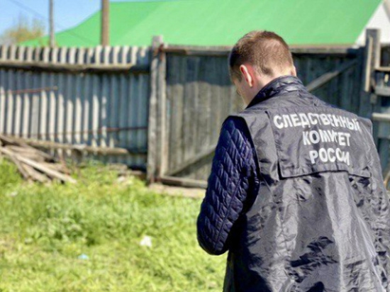 Житель Саратовской области не смог выпроводить гостя, поэтому избил и убил его