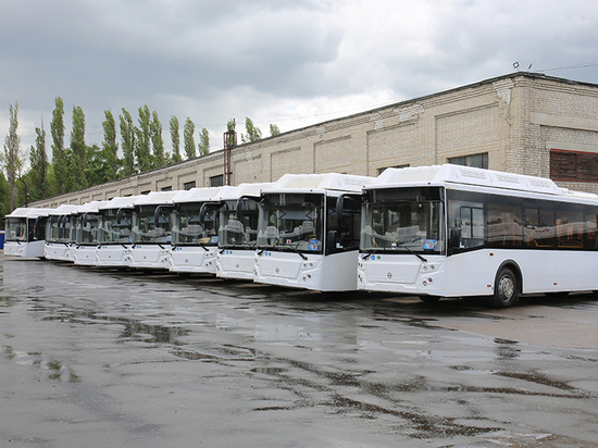 Для Воронежа и области закупят еще 80 автобусов