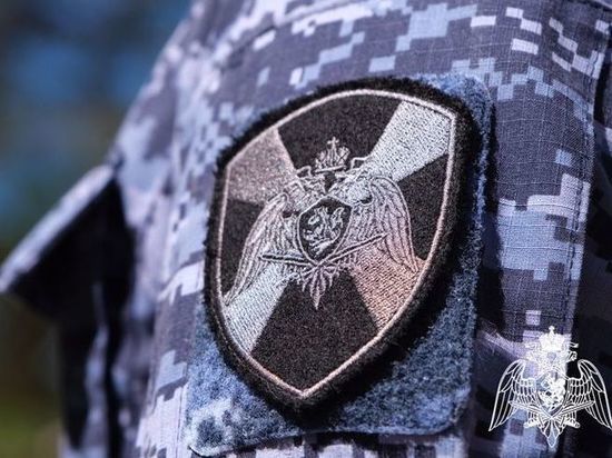 Более 20 единиц огнестрельного оружия изъяли в Тамбовской области за неделю