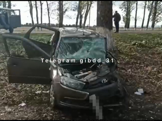 В Белгородской области «УАЗ» столкнулся с легковушкой