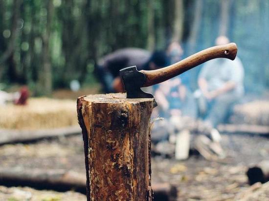 Калининградская область вышла в лидеры по стоимости дров