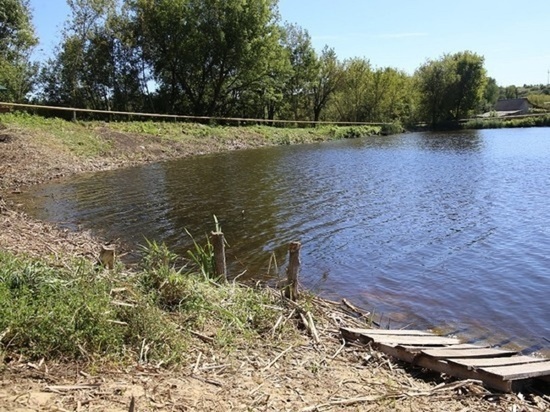 Белгородские власти выделят 500 млн рублей на расчистку водоемов в 2023 году