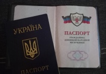 ЦИК ДНР утвердила список документов, необходимых для голосования на референдуме о присоединении к России