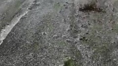 Первый снег прошел на Сахалине в сентябре: видео 