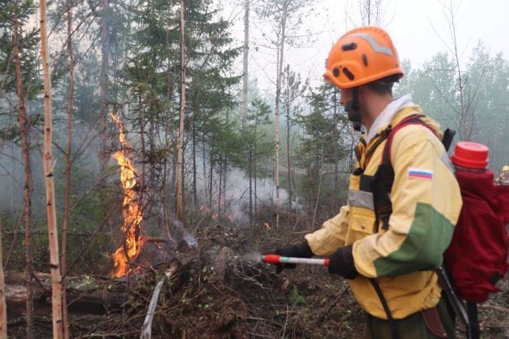 Костромские парадоксы: вчера в Поназыревском районе пришлось тушить лесной пожар