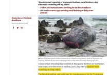 Массовое выбрасывание китов на мель произошло в гавани Маккуори на западном побережье Тасмании, недалеко от города Страхан, всего через день после другого массового выброса китов на мель на острове Кинг