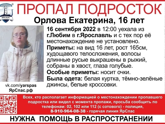 В Ярославской области пять дней ищут девочку-подростка в очках