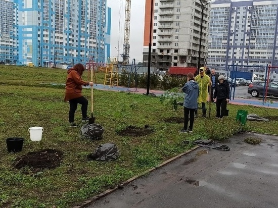 Орловчане-энтузиасты открыли в городе «Зареченскую Манчжурию»