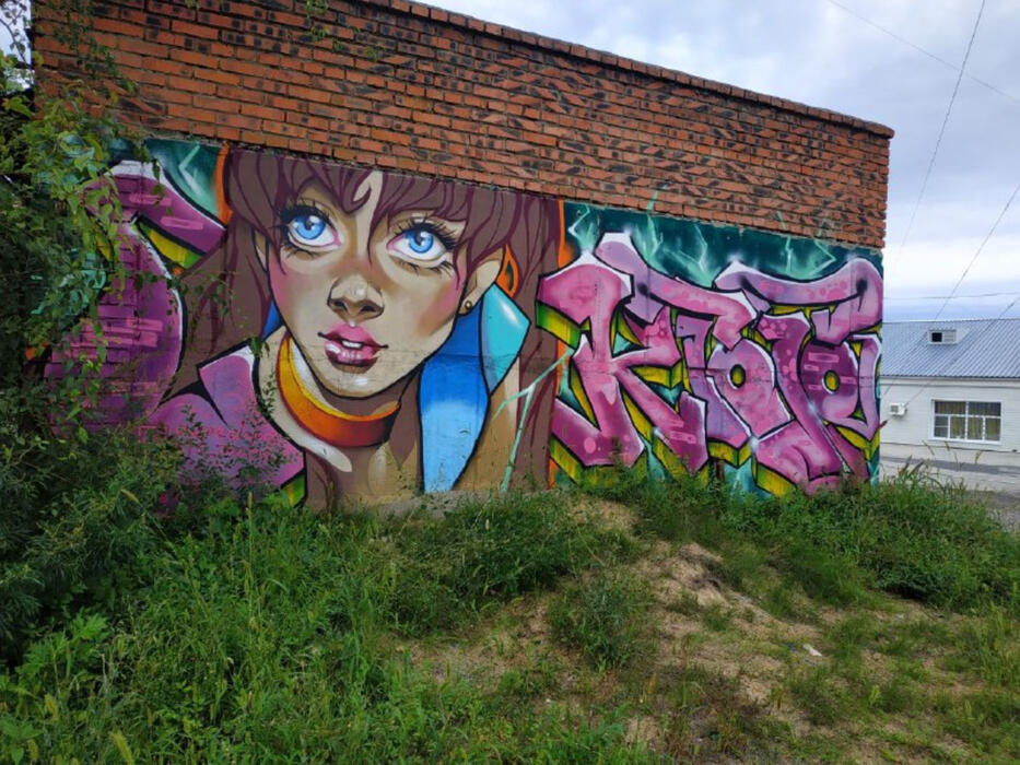 Взгляд со стены: фото интересных граффити с улиц Хабаровска