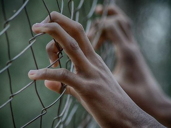 Пензенца арестовали за тонировку