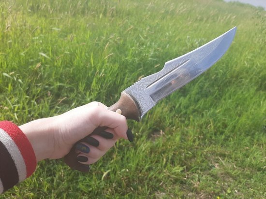 Ударом ножом в пах женщина убила сожителя в деревне Волосовского района