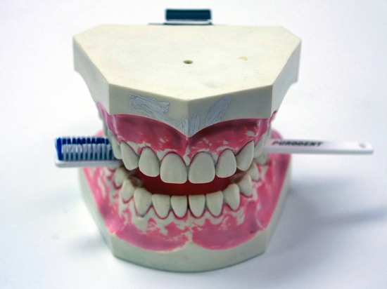Стоматолог заявил о вреде жестких зубных щеток