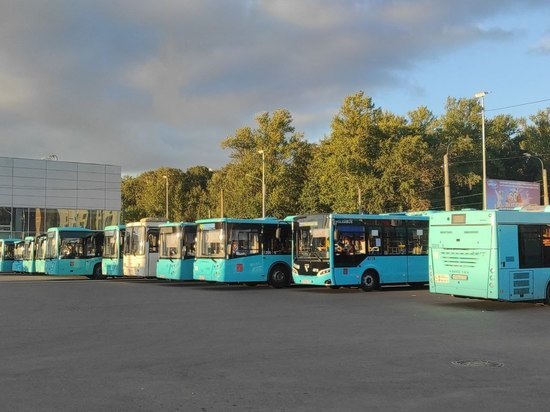Четыре дополнительных автобуса запустят в Петергоф на праздник фонтанов 23 и 24 сентября