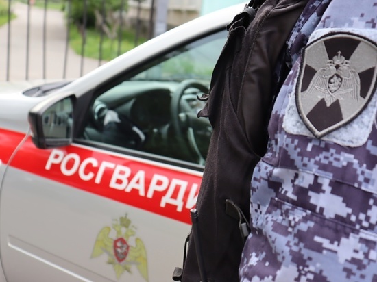 Росгвардия задержала петербурженку, стрелявшую по детям из пневматической винтовки