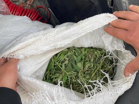 Двух жительниц Улан-Удэ уличили в хранении гашиша