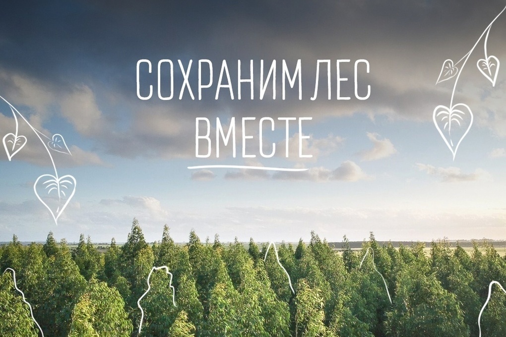 В субботу в Костромской области пройдет экологический субботник