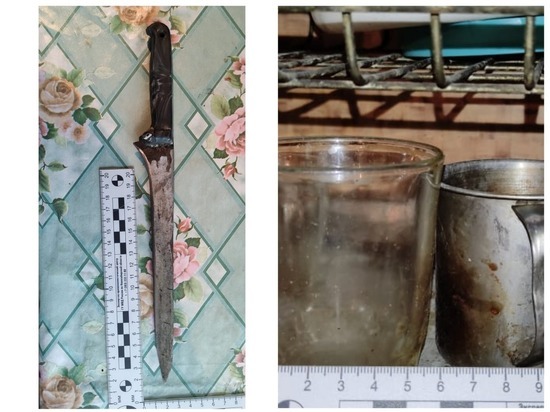 Под Новосибирском 43-летняя женщина зарезала мужа огромным ножом