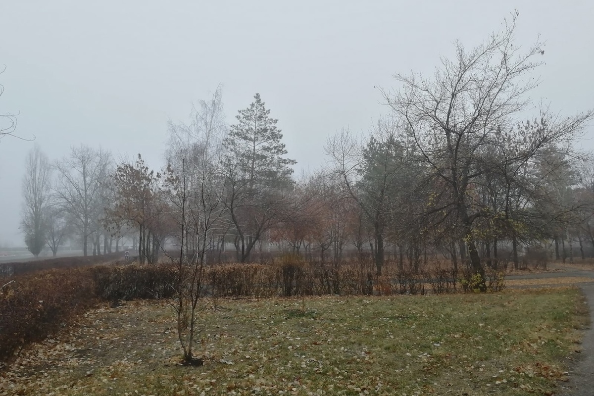 Погода оренбург 4 декабря. Сентябрь пасмурно. Пасмурная погода. Дождь в Оренбуржье. Пасмурный группа.