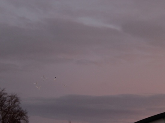 Дымящийся падающий объект в небе напугал жителей Екатеринбурга