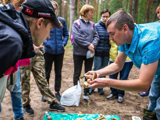 Новогодняя Сказка Санкт-Петербурга: тур на 5 дней от 13 ₽ — Туроператор «Русь»