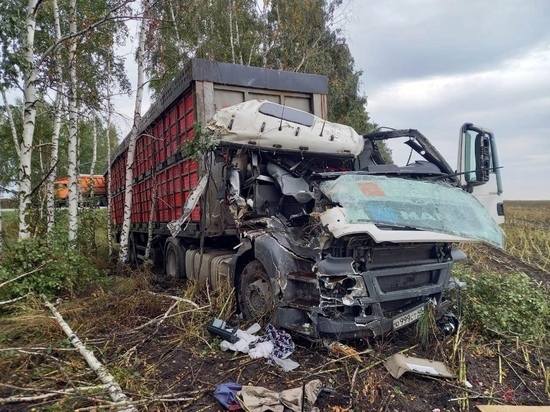 В Липецком районе попали в ДТП два грузовика