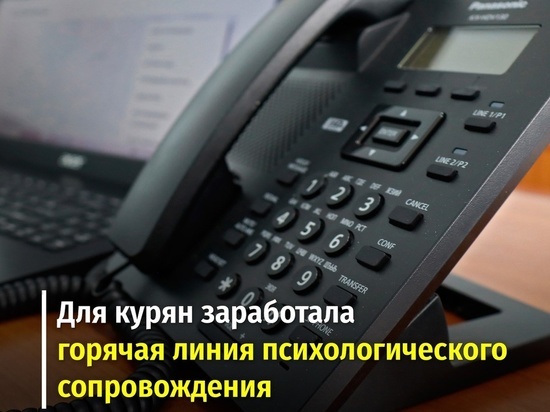 В Курской области мобилизацию сопровождают по телефону горячей линии