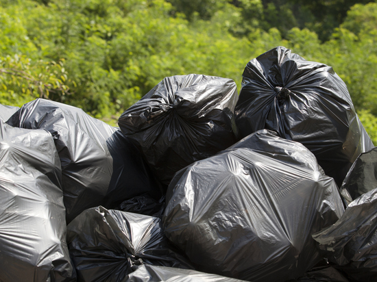 Волонтеры НАО собрали 10 мешков мусора в лесу