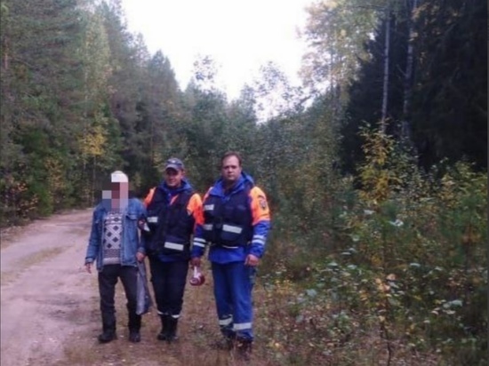 Мужчина заблудился в лесу под Лодейным Полем 22 сентября