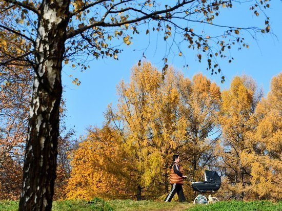 В парке «Покровское-Стрешнево» стало больше удобных мест для созерцания природы