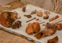 Зубы древних гиены и лисицы обнаружили в пещере «Таврида»  крымские ученые
