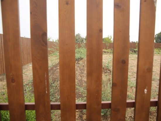 Суд обязал волгоградку убрать глухой забор, затеняющий участок соседа