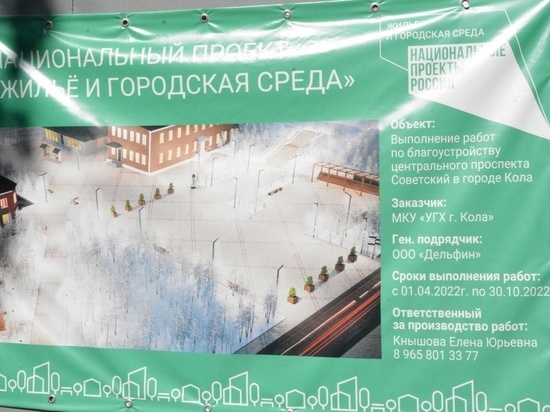 Морошка или Советский: в Коле стартовало голосование за лучшее название для сквера