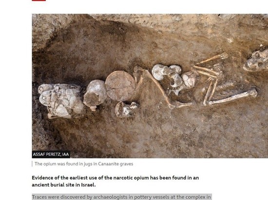 Самое раннее свидетельство употребления опиума найдено в месте захоронения в Израиле