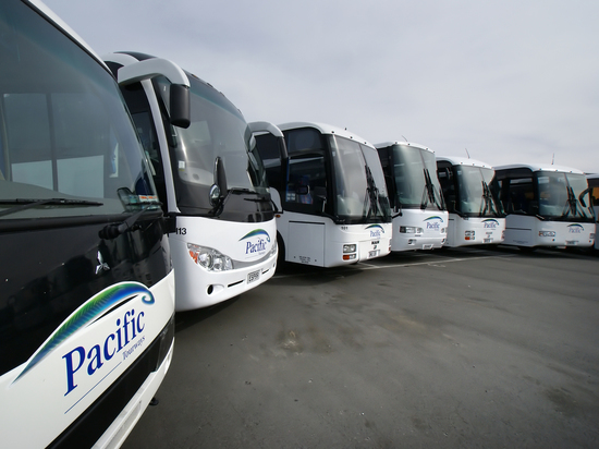Автобусный рейс из Петрозаводска в Санкт-Петербург отменили